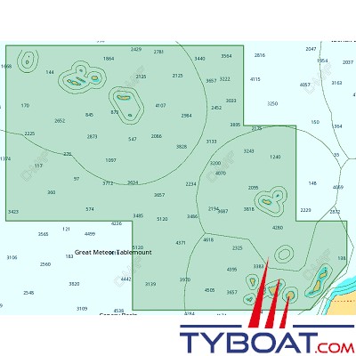 C-MAP - Carte Local Max format SD micro SD - EW-M311 Madeira, Azores and Canary Islands